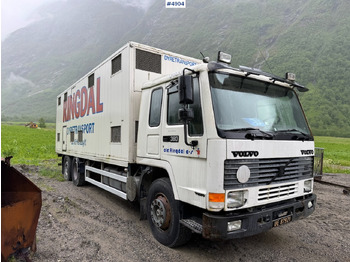 Loomaveok 1996 Volvo FL12 6x2 Animal transport.: pilt 3