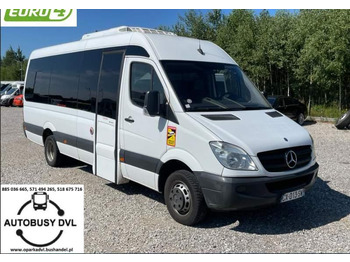 Mercedes-Benz Sprinter 2008 liising Mercedes-Benz Sprinter 2008: pilt 1
