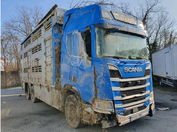 Loomaveok SCANIA R 580