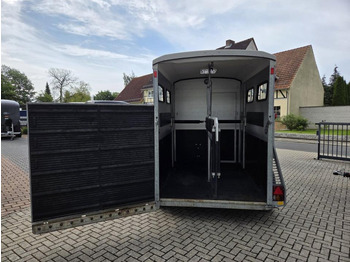 Hobutreiler Pferdeanhänger Böckmann Portax L SR WCF 100km/h Flügeltür: pilt 4