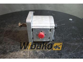 Hüdrauliline pump CASAPPA