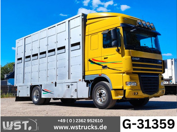 Hobuseauto DAF XF