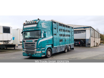 Hobuseauto SCANIA R 490