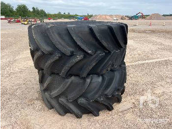 Rehv FIRESTONE