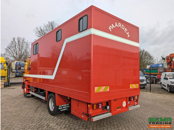 Hobuseauto Iveco Tector ML120E24D 4x2 Euro3 DubbelCabine - Paardenwagen 3-Paards - Kleedruimte - Hydraulische klep- TOP!: pilt 4