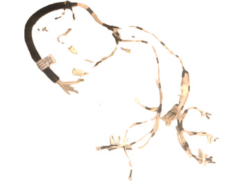 Kaablid/ Juhtmestik CATERPILLAR