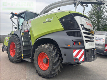 Koristusmasin CLAAS USED JAGUAR 950: pilt 5