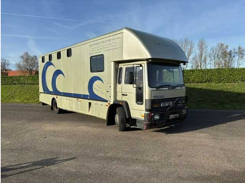 Veoauto 1993 VOLVO FL 612 TRUCK HORSE TRAILER: pilt 2 Veoauto 1993 VOLVO FL 612 TRUCK HORSE TRAILER: pilt 2