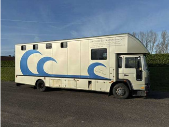 Veoauto 1993 VOLVO FL 612 TRUCK HORSE TRAILER: pilt 3 Veoauto 1993 VOLVO FL 612 TRUCK HORSE TRAILER: pilt 3