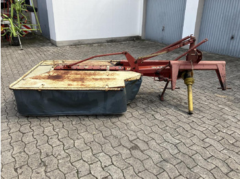 : päise foto