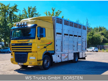 Loomaveok DAF XF