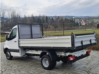 Tarbesõiduk kallur Mercedes-Benz Sprinter 419/519 CDI 3 way tipper: pilt 4 Tarbesõiduk kallur Mercedes-Benz Sprinter 419/519 CDI 3 way tipper: pilt 4