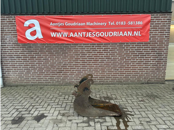 Kopp