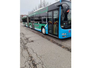 Lõõtsbuss MAN Lion's City A23