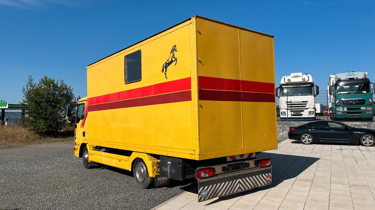 MAN TGL 10.180 Euro 4 Pferdetransporter Horse MAN TGL 10.180 Euro 4 Pferdetransporter Horse - Hobuseauto: pilt 5 MAN TGL 10.180 Euro 4 Pferdetransporter Horse MAN TGL 10.180 Euro 4 Pferdetransporter Horse - Hobuseauto: pilt 5