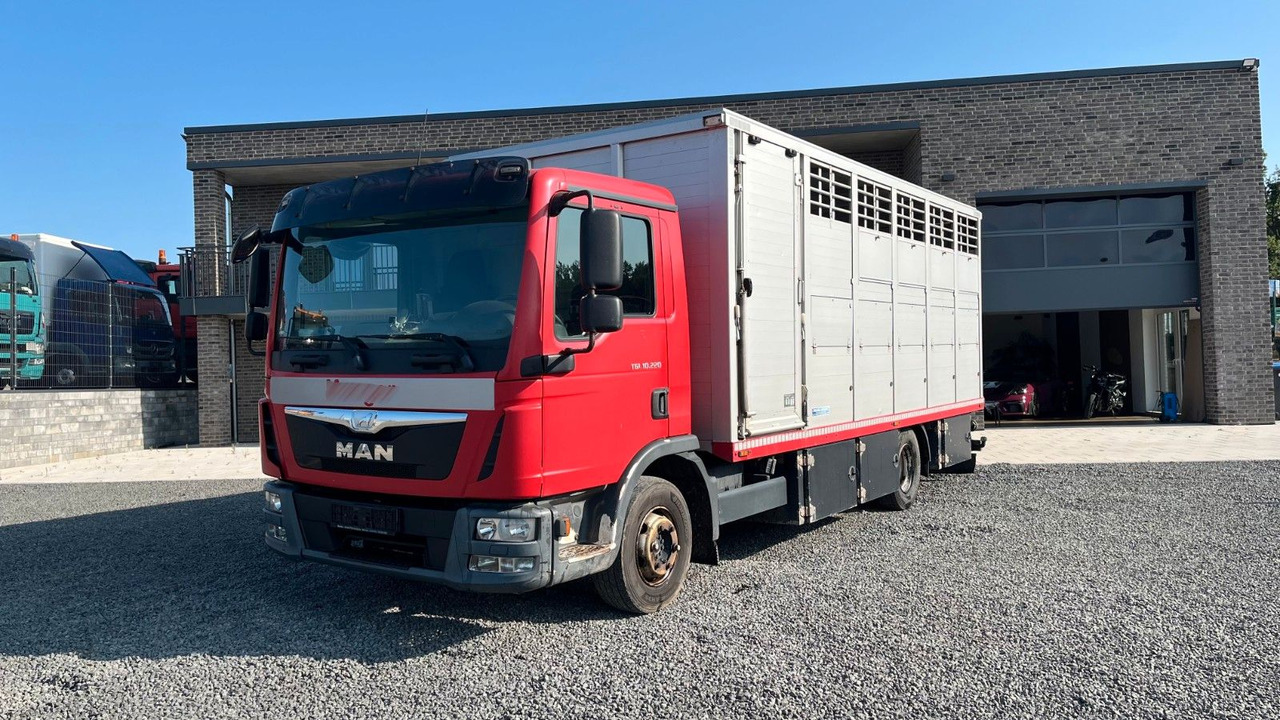 MAN TGL 10.220 Viehtransporter Rampe Trennwände - Hobuseauto: pilt 2 MAN TGL 10.220 Viehtransporter Rampe Trennwände - Hobuseauto: pilt 2