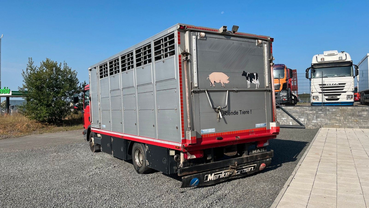 MAN TGL 10.220 Viehtransporter Rampe Trennwände - Hobuseauto: pilt 5 MAN TGL 10.220 Viehtransporter Rampe Trennwände - Hobuseauto: pilt 5