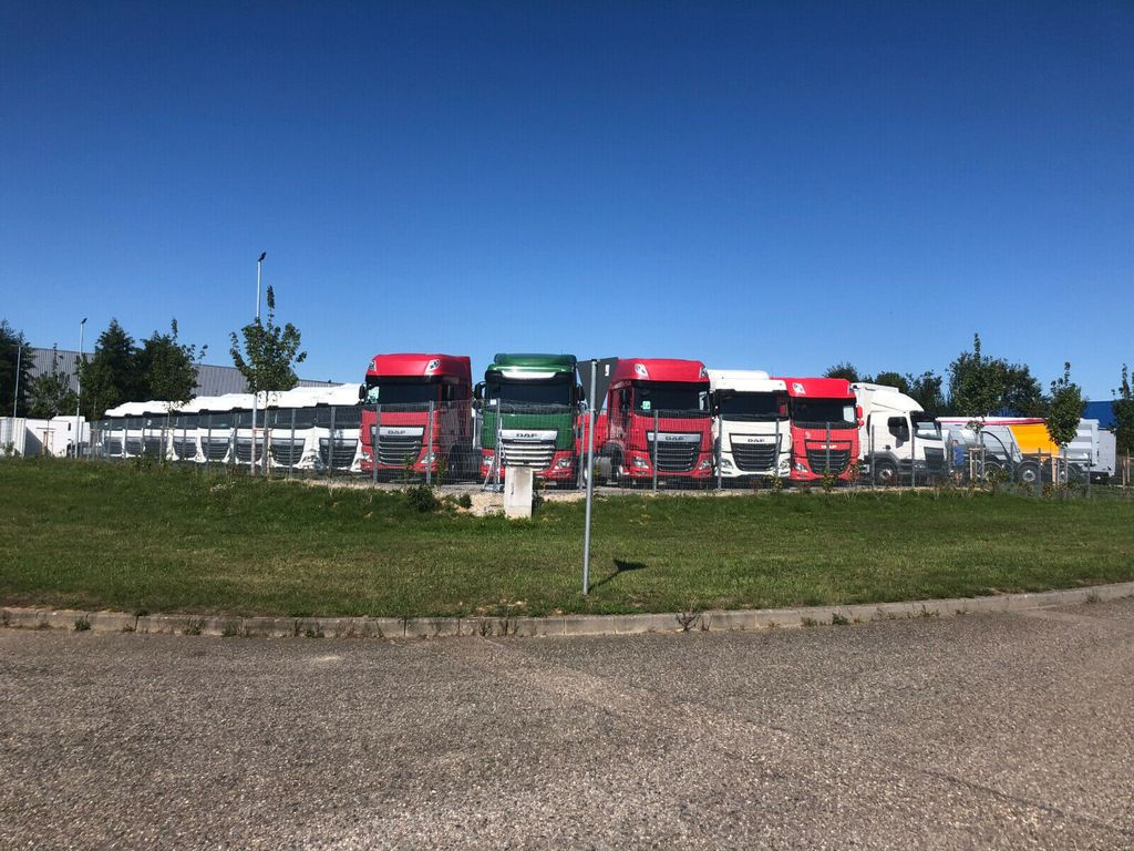 Sadulveok DAF FT XF 480 SSC: pilt 20