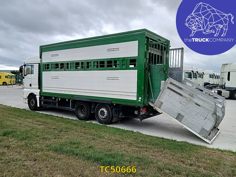 MAN TGX 460 - Loomaveok: pilt 3 MAN TGX 460 - Loomaveok: pilt 3