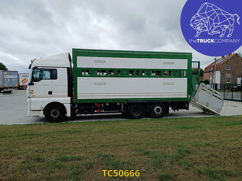 MAN TGX 460 - Loomaveok: pilt 2 MAN TGX 460 - Loomaveok: pilt 2