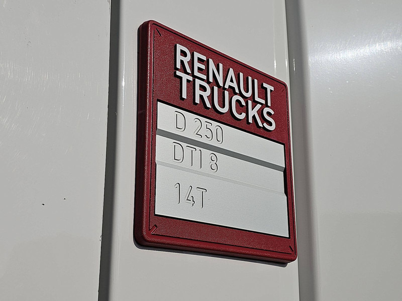 Kasti veoauto Renault D 250 11.9T A/C NEW ENGINE: pilt 14