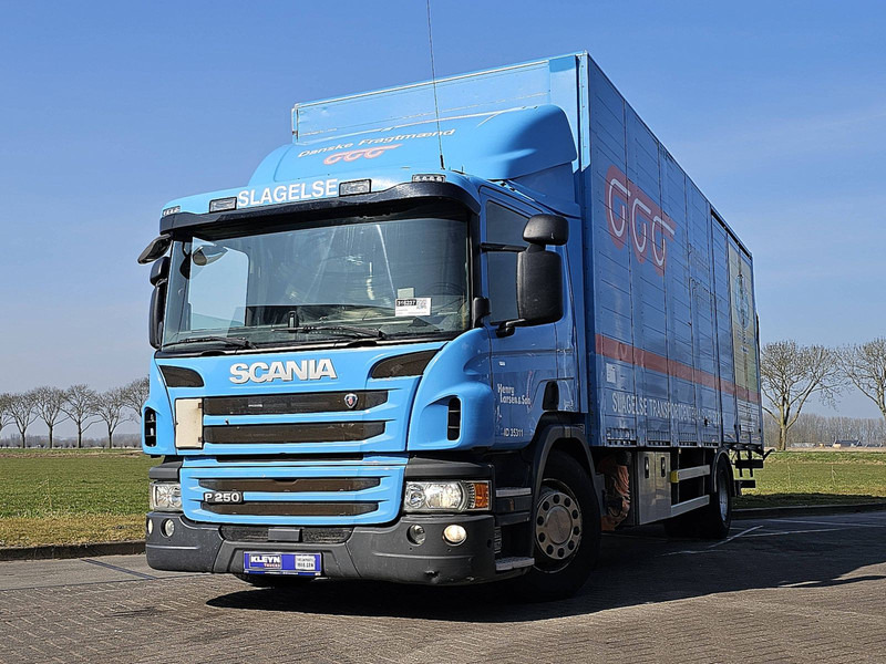 Scania P250 - Kasti veoauto: pilt 1 Scania P250 - Kasti veoauto: pilt 1