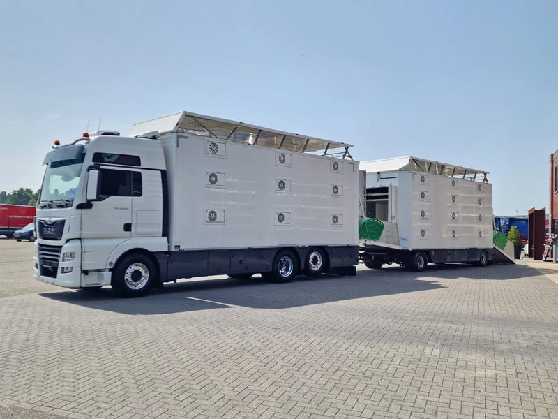 MAN TGX 500 6x2 - 3 deck Cuppers + 4 deck Cuppers 2019 trailer - Water & Ventilation - Night clima - - Loomaveok: pilt 3 MAN TGX 500 6x2 - 3 deck Cuppers + 4 deck Cuppers 2019 trailer - Water & Ventilation - Night clima - - Loomaveok: pilt 3