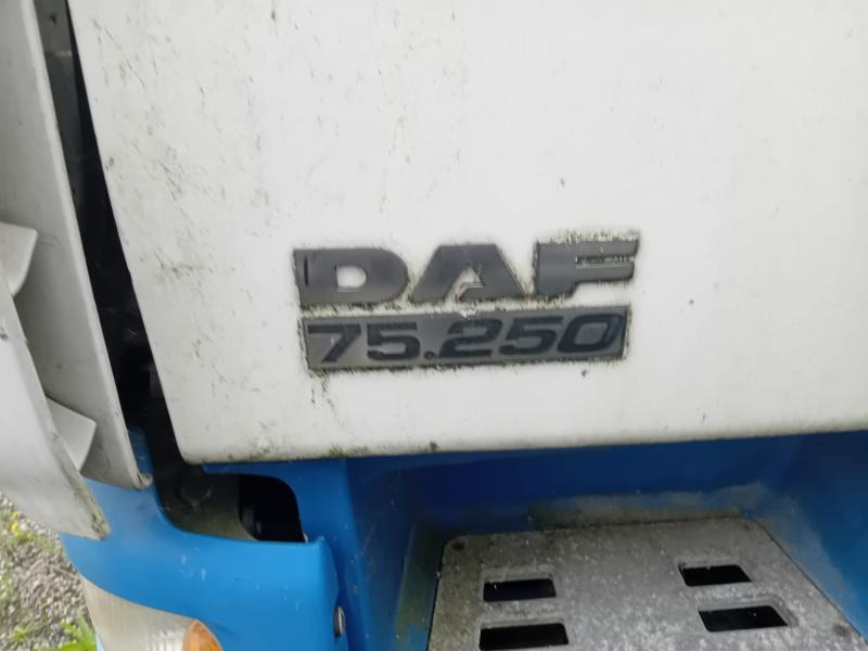 DAF CF 75.250 - Kasti veoauto: pilt 2 DAF CF 75.250 - Kasti veoauto: pilt 2
