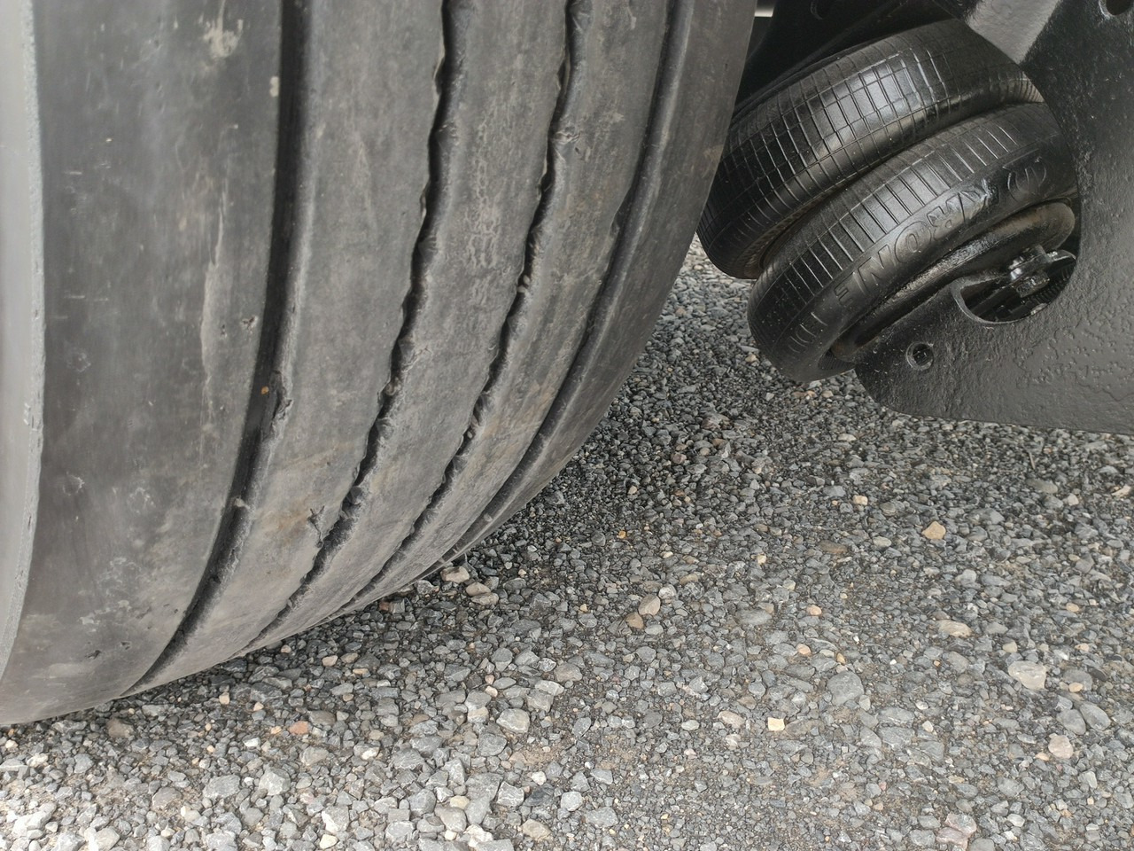 Tentpoolhaagis Krone Standard OŚ Podnoszona SAF 2017r: pilt 8