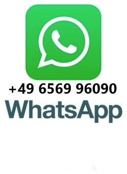 MAN TGS 18.320 4x4 Winterdienst Wechselsystem - Kabiinišassiiga veoauto: pilt 2 MAN TGS 18.320 4x4 Winterdienst Wechselsystem - Kabiinišassiiga veoauto: pilt 2