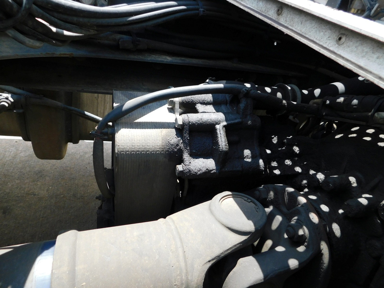 Sadulveok Daf Xf 105460: pilt 8