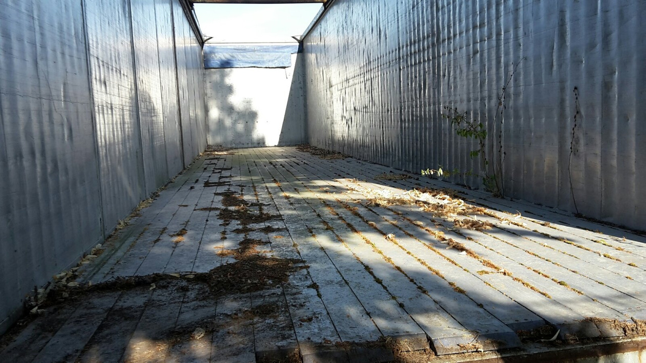 Reisch RSBS-35/24 PV RSBS-35/24 PV Walkingfloor ca. 86m³, Alu - Kõndimisalaga poolhaagised: pilt 2 Reisch RSBS-35/24 PV RSBS-35/24 PV Walkingfloor ca. 86m³, Alu - Kõndimisalaga poolhaagised: pilt 2