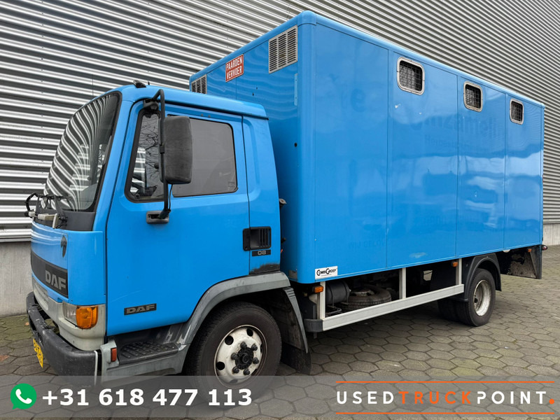DAF LF45.130 / Horse Truck / 6 Cilinder / Manual Gearbox / Euro 2 / NL Trucks - Loomaveok: pilt 1 DAF LF45.130 / Horse Truck / 6 Cilinder / Manual Gearbox / Euro 2 / NL Trucks - Loomaveok: pilt 1