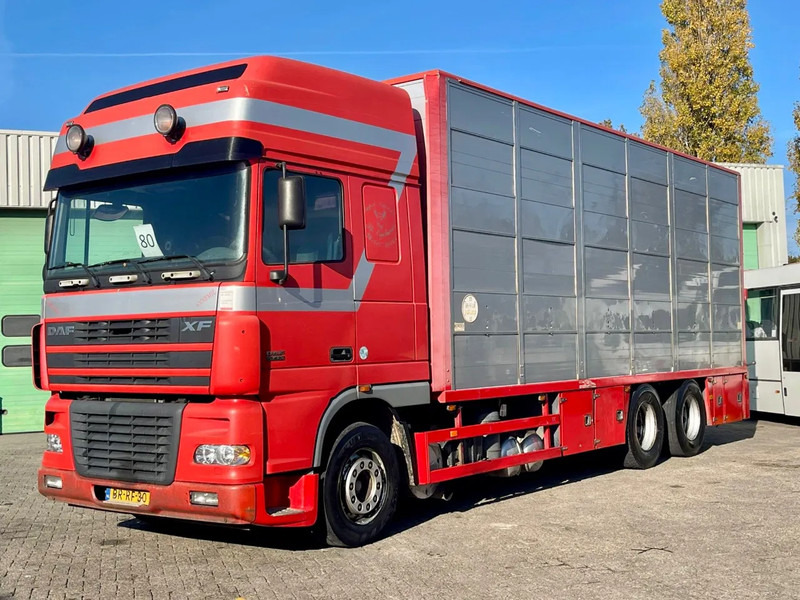 DAF XF 95.430 BERDEX 3 decks. Water, fans, Scales! Excellent condition. - Loomaveok: pilt 1 DAF XF 95.430 BERDEX 3 decks. Water, fans, Scales! Excellent condition. - Loomaveok: pilt 1