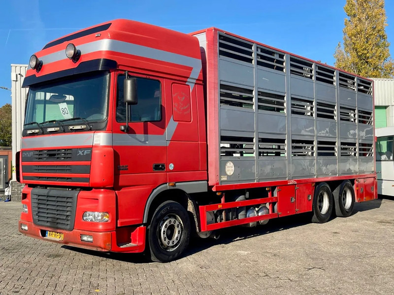 DAF XF 95.430 BERDEX 3 decks. Water, fans, Scales! Excellent condition. - Loomaveok: pilt 2 DAF XF 95.430 BERDEX 3 decks. Water, fans, Scales! Excellent condition. - Loomaveok: pilt 2