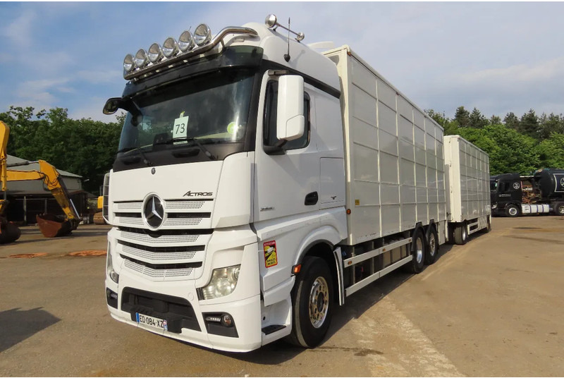 Mercedes-Benz Actros 2551 BERDEX 3 decks, All options + Berdex 12/ 2007 - Loomaveok: pilt 3 Mercedes-Benz Actros 2551 BERDEX 3 decks, All options + Berdex 12/ 2007 - Loomaveok: pilt 3