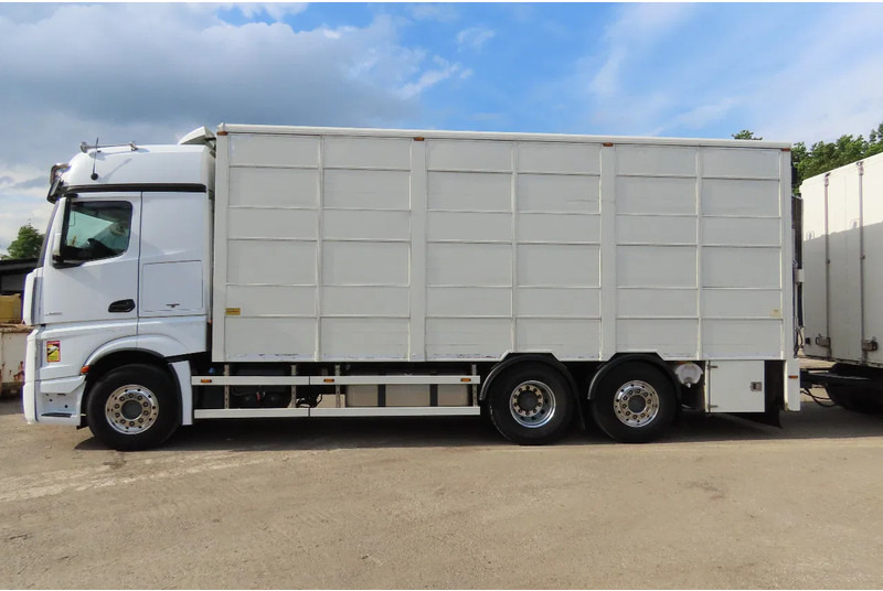 Mercedes-Benz Actros 2551 BERDEX 3 decks, All options + Berdex 12/ 2007 - Loomaveok: pilt 4 Mercedes-Benz Actros 2551 BERDEX 3 decks, All options + Berdex 12/ 2007 - Loomaveok: pilt 4