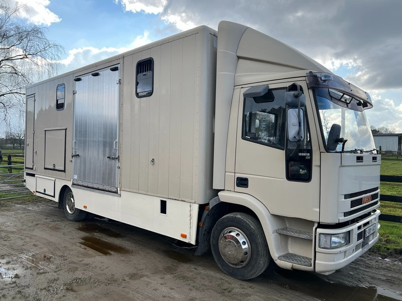 Iveco 120E18 - 3 HORSES - MANUAL - STEEL SUSPENSION - Tarbesõiduk furgoon: pilt 2 Iveco 120E18 - 3 HORSES - MANUAL - STEEL SUSPENSION - Tarbesõiduk furgoon: pilt 2