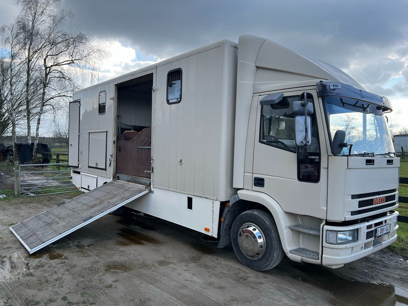 Iveco 120E18 - 3 HORSES - MANUAL - STEEL SUSPENSION - Hobuseauto: pilt 1 Iveco 120E18 - 3 HORSES - MANUAL - STEEL SUSPENSION - Hobuseauto: pilt 1