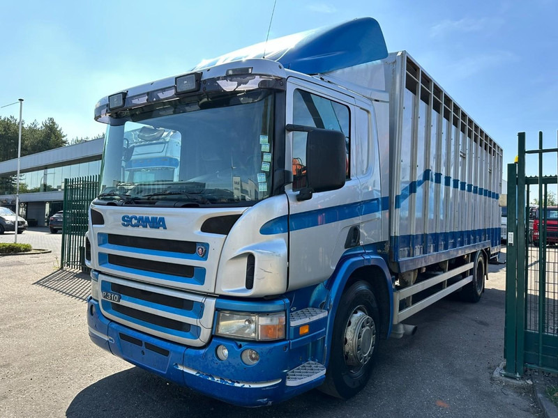 Scania P310 4x2 LIVESTOCK / VEEWAGEN / TIERTRANSPORT / BETAILLERE - ALU BOX 7m - MANUAL - A/C - BELGIAN TRUCK - Loomaveok: pilt 3 Scania P310 4x2 LIVESTOCK / VEEWAGEN / TIERTRANSPORT / BETAILLERE - ALU BOX 7m - MANUAL - A/C - BELGIAN TRUCK - Loomaveok: pilt 3