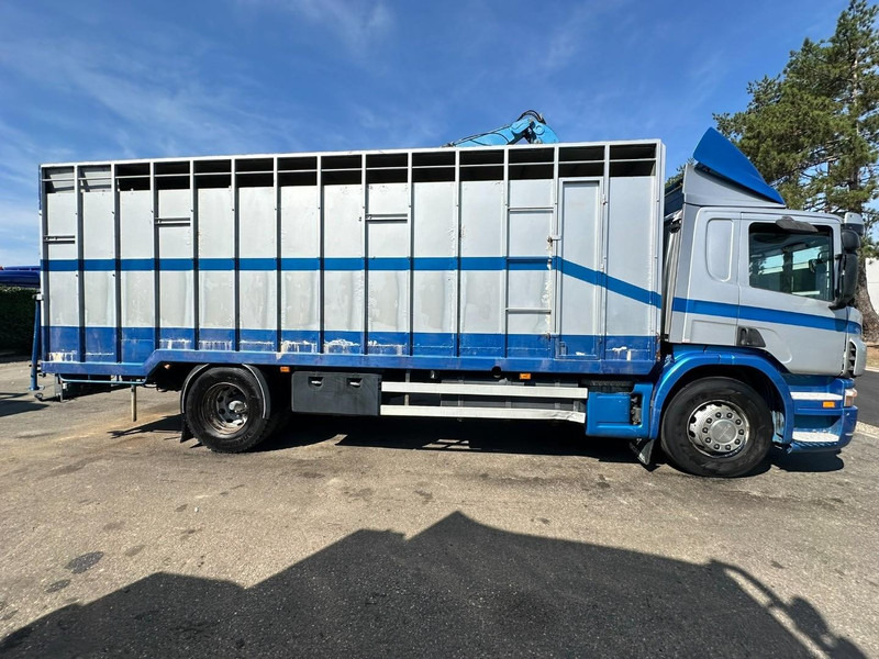 Scania P310 4x2 LIVESTOCK / VEEWAGEN / TIERTRANSPORT / BETAILLERE - ALU BOX 7m - MANUAL - A/C - BELGIAN TRUCK - Loomaveok: pilt 4 Scania P310 4x2 LIVESTOCK / VEEWAGEN / TIERTRANSPORT / BETAILLERE - ALU BOX 7m - MANUAL - A/C - BELGIAN TRUCK - Loomaveok: pilt 4