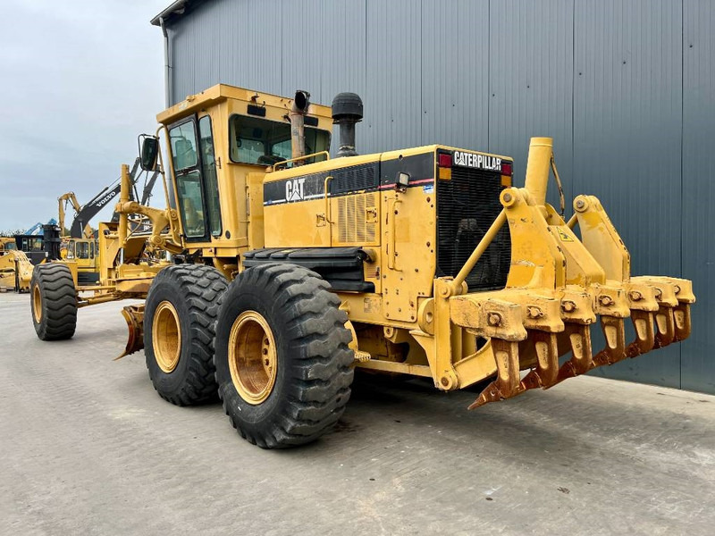 Cat 14H - Teehöövel: pilt 3 Cat 14H - Teehöövel: pilt 3