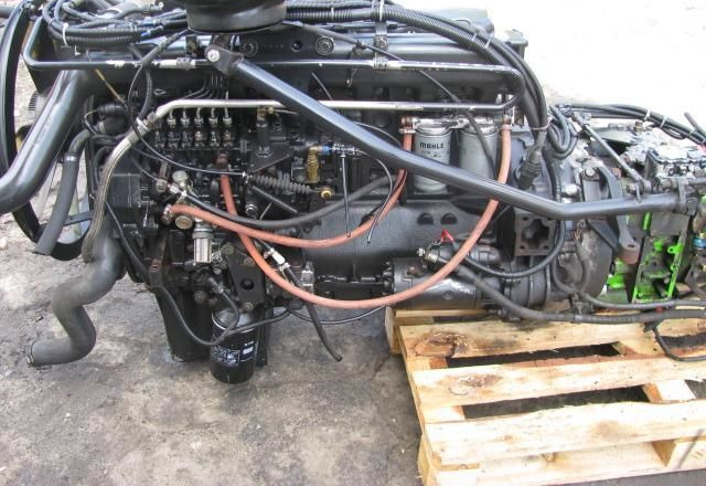 MAN D0826 LF11 MAN - Mootor - Veoauto: pilt 1 MAN D0826 LF11 MAN - Mootor - Veoauto: pilt 1