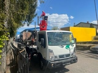 Veoautolt tõusev platvorm Nissan NT400: pilt 11