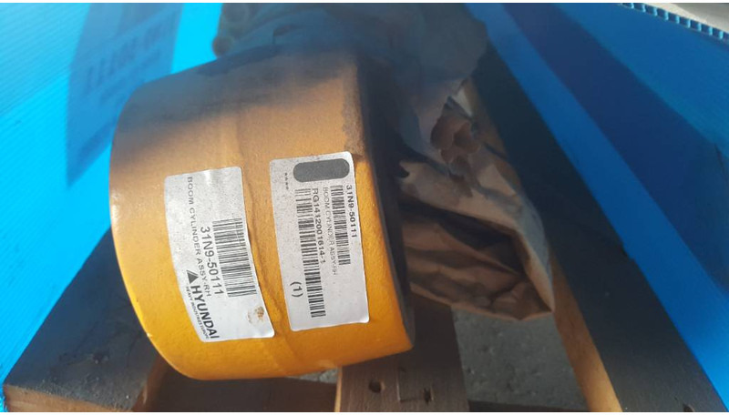 Hyundai Boom Cylinder RH - R320 LC-7, 31N9-50111 - Hüdraulika - Ehitusmasinad: pilt 2 Hyundai Boom Cylinder RH - R320 LC-7, 31N9-50111 - Hüdraulika - Ehitusmasinad: pilt 2