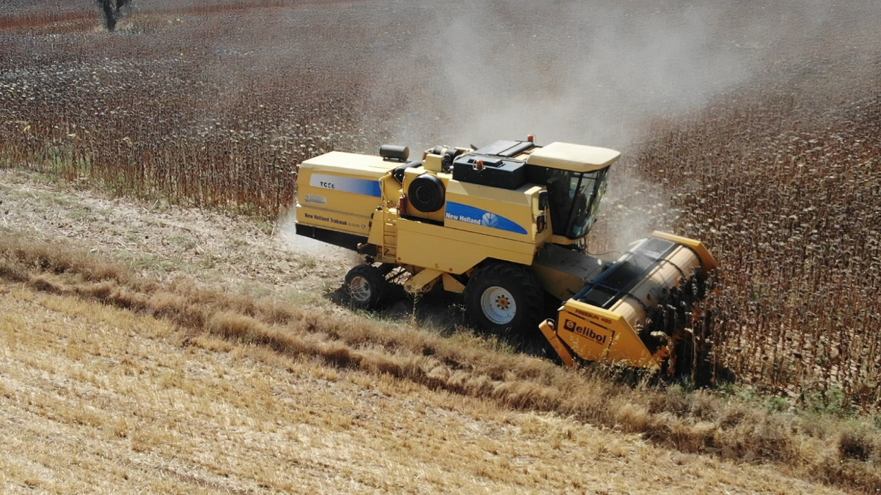 ELİBOL FREESUN 480 ROW INDEPENDENT SUNFLOWER HEADER - Päevalillekoristusmasin: pilt 5 ELİBOL FREESUN 480 ROW INDEPENDENT SUNFLOWER HEADER - Päevalillekoristusmasin: pilt 5