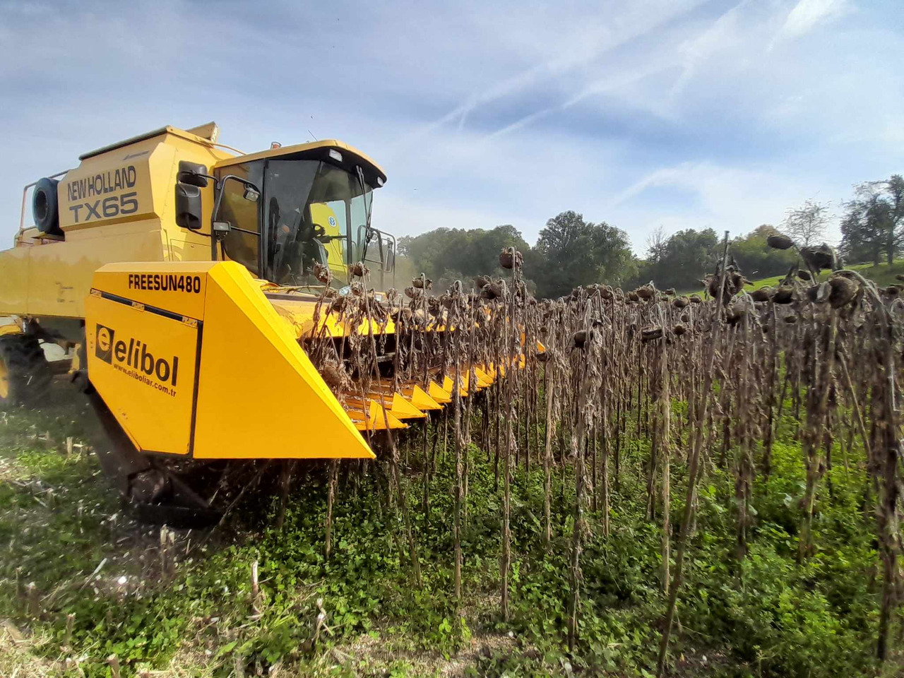 ELİBOL FREESUN 480 ROW INDEPENDENT SUNFLOWER HEADER - Päevalillekoristusmasin: pilt 4 ELİBOL FREESUN 480 ROW INDEPENDENT SUNFLOWER HEADER - Päevalillekoristusmasin: pilt 4