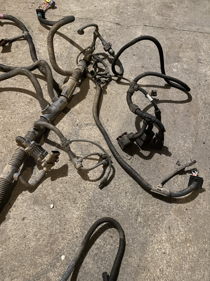 Claas Arion 550-520 650-620 - kabel wiązka elektryczna 0011510550 - Kaablid/ Juhtmestik - Traktor: pilt 4 Claas Arion 550-520 650-620 - kabel wiązka elektryczna 0011510550 - Kaablid/ Juhtmestik - Traktor: pilt 4