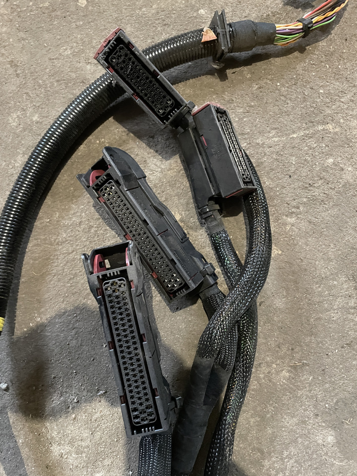 Claas Jaguar 880-830 980-930 - wiązka elektryczna kabiny 0018110206 - Kaablid/ Juhtmestik - Koristusmasin: pilt 4 Claas Jaguar 880-830 980-930 - wiązka elektryczna kabiny 0018110206 - Kaablid/ Juhtmestik - Koristusmasin: pilt 4