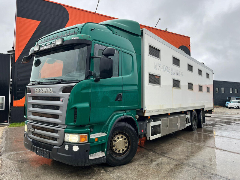 Scania G 480 6x2*4 BOX L=9212 mm / COOLANT LEAKAGE ON 3 RD CYLINDER - Loomaveok: pilt 2 Scania G 480 6x2*4 BOX L=9212 mm / COOLANT LEAKAGE ON 3 RD CYLINDER - Loomaveok: pilt 2